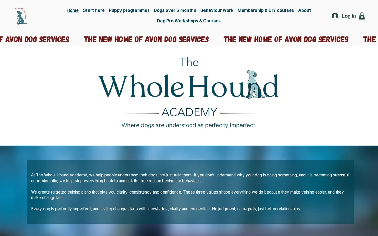 The Whole Hound Academy's old Wix website.